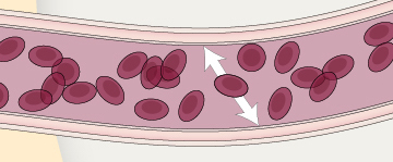 Blood Pressure in Blood Vessels